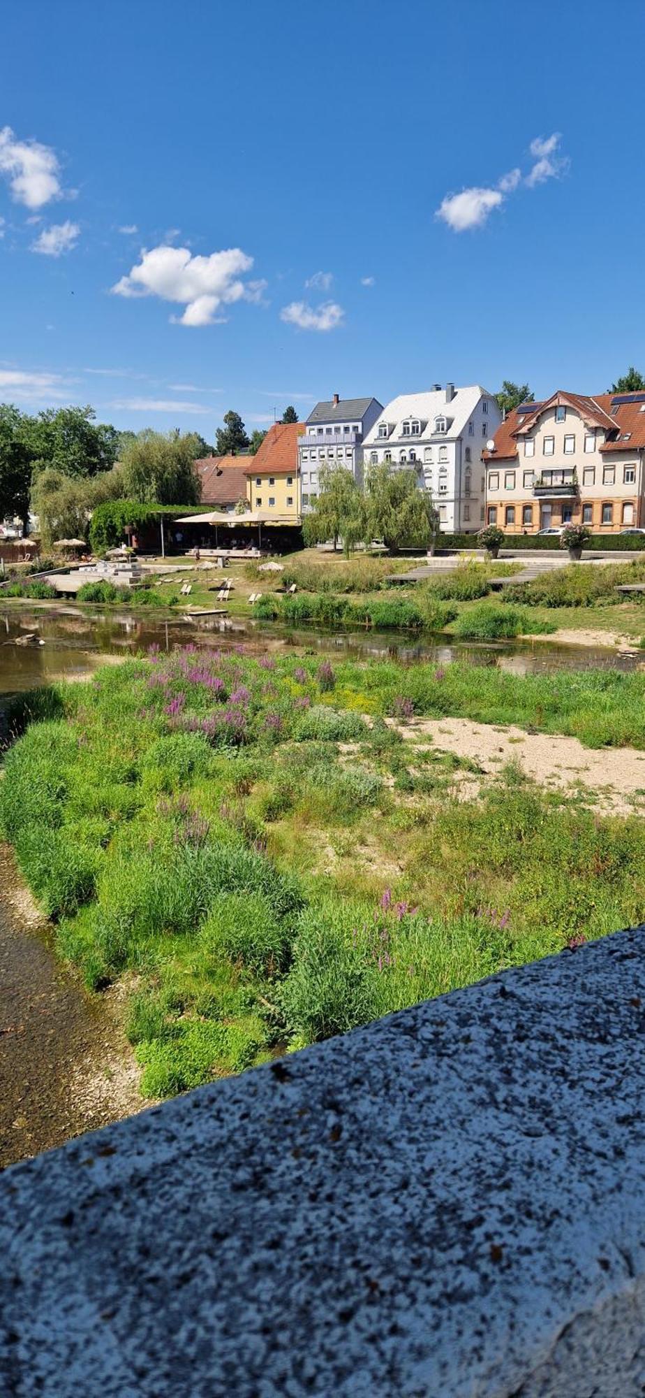 Ferienwohnung Am Donauradweg Tuttlingen Eksteriør bilde