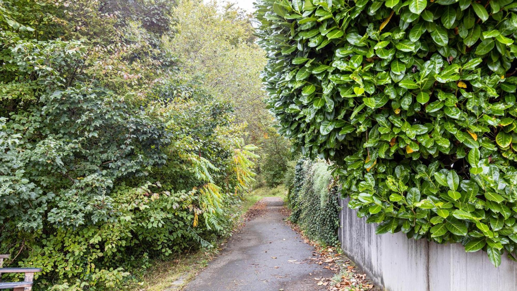 Ferienwohnung Am Donauradweg Tuttlingen Eksteriør bilde