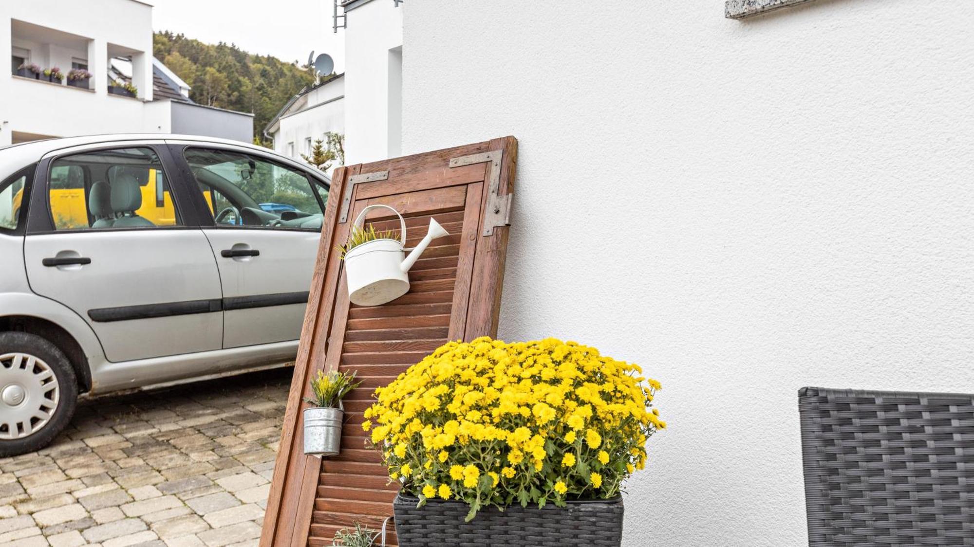 Ferienwohnung Am Donauradweg Tuttlingen Eksteriør bilde