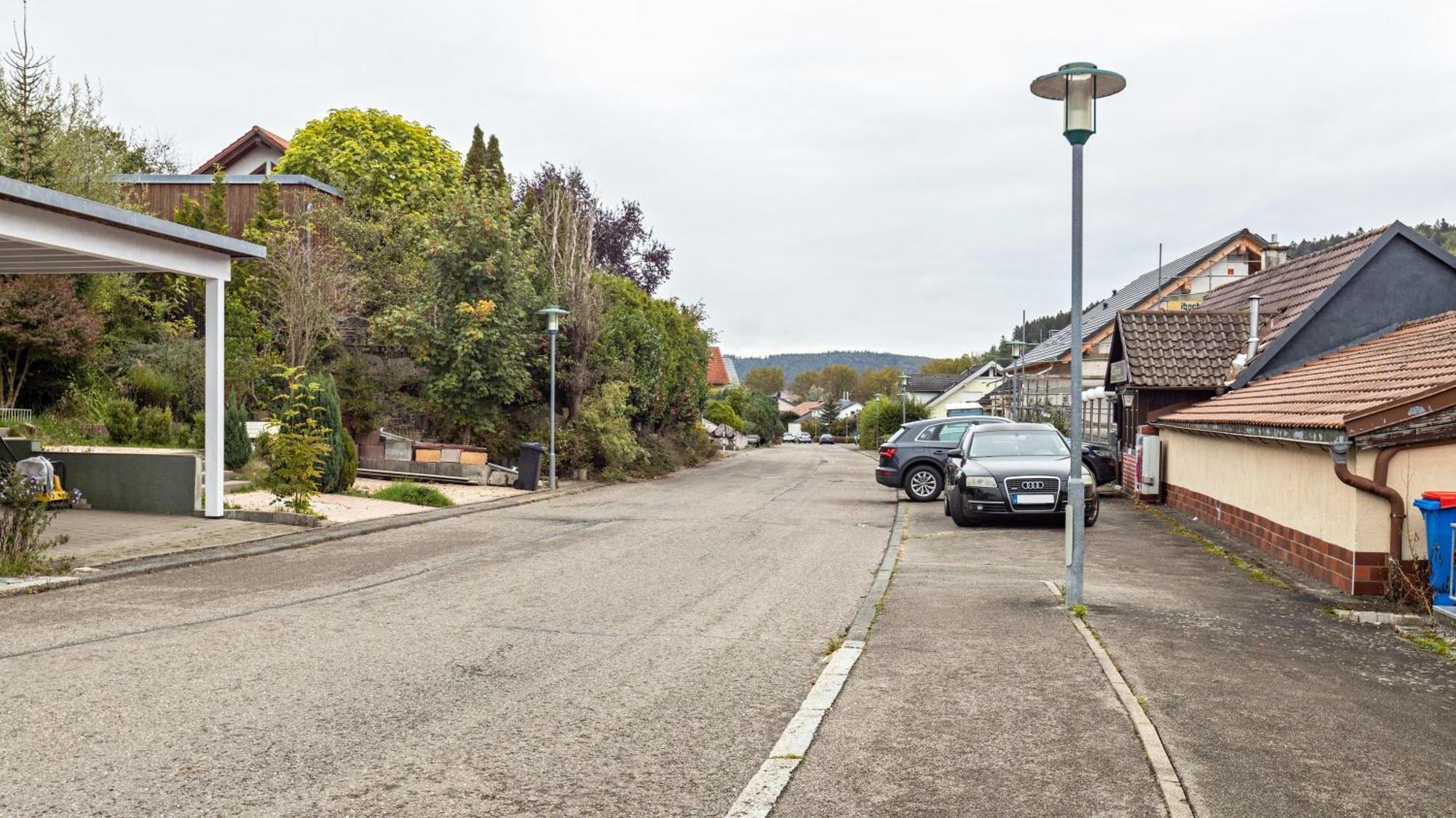 Ferienwohnung Am Donauradweg Tuttlingen Eksteriør bilde